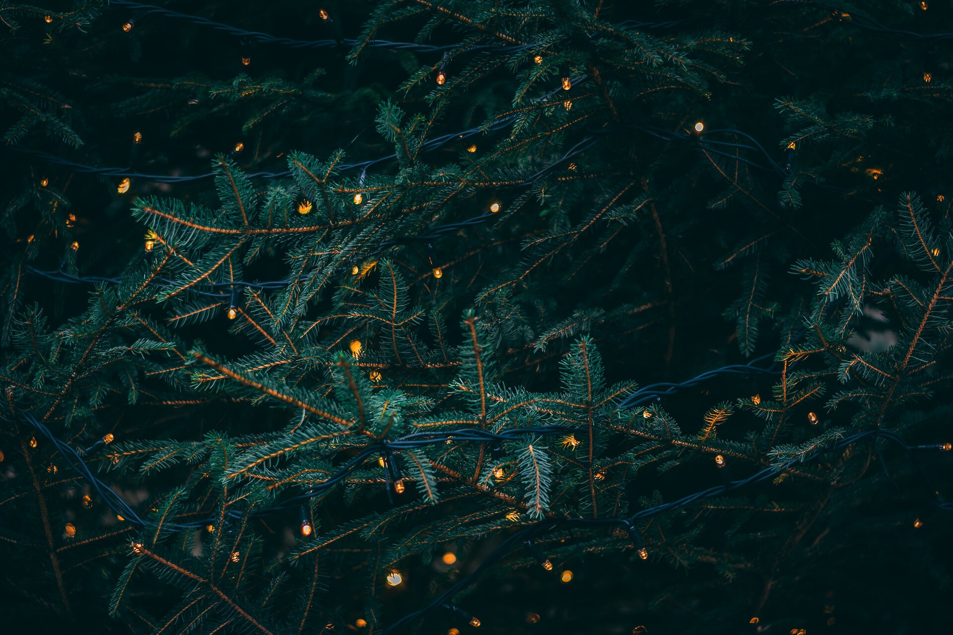 kunstiline-weihnachten-baum green pine tree with fireflies